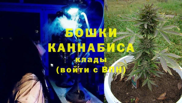 Альфа ПВП Аркадак