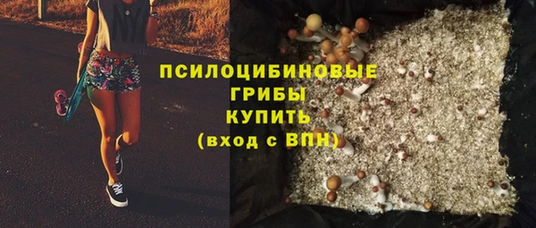 Альфа ПВП Аркадак