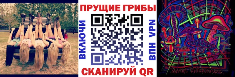 Псилоцибиновые грибы Cubensis  купить наркотики сайты  Курган 