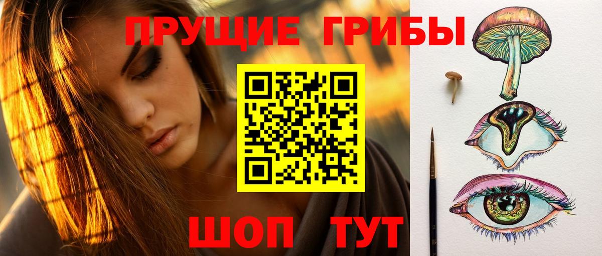 Галлюциногенные грибы Psilocybe Курган