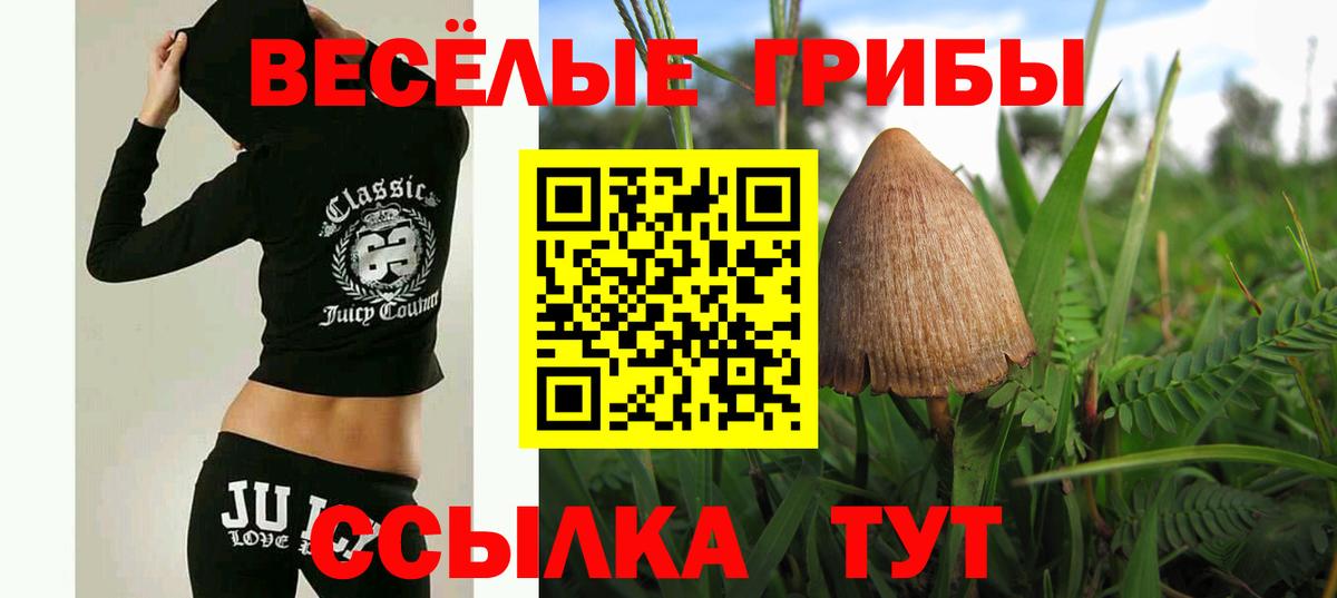 Псилоцибиновые грибы GOLDEN TEACHER  Псилоцибиновые грибы прущие грибы  Вход с VPN  Курган 