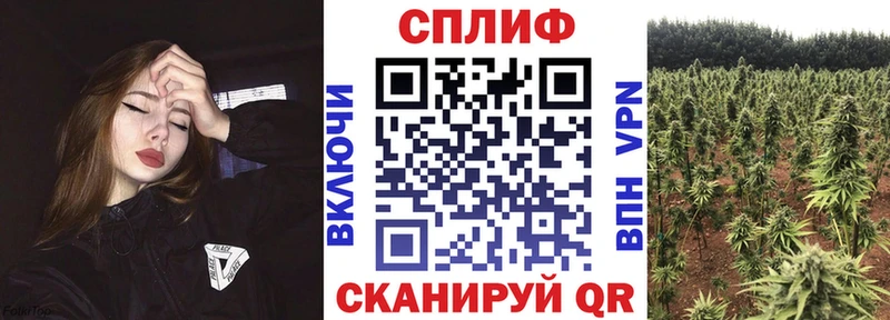 Каннабис марихуана  ссылка на мегу маркетплейс  Курган 